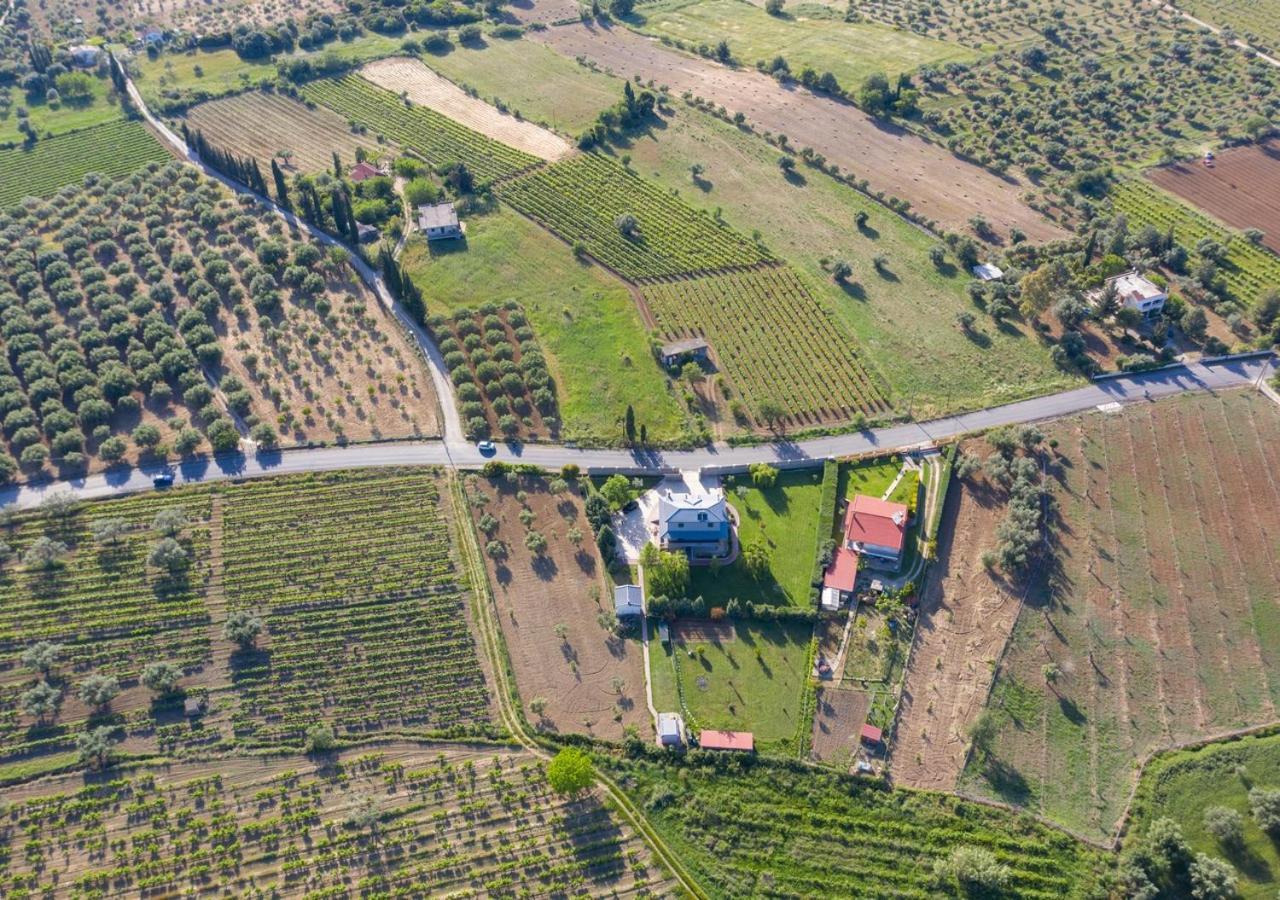 Villa In Nature Mitopoli Exterior photo